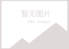 河池雪青能源有限公司